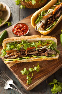 Vietnamese Pork Banh Mi Sandwich clipart