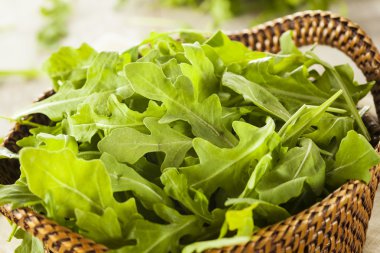 Organik çiğ yeşil roka