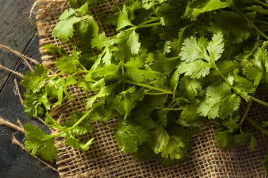 Organik çiğ yeşil kişniş