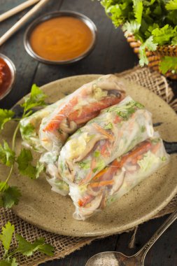 sağlıklı vejetaryen böreği