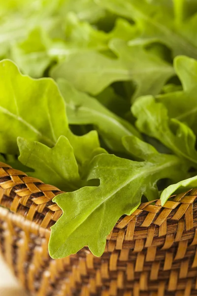 Organiczne surowe zielone rukoli — Zdjęcie stockowe