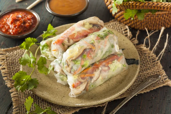 Healthy Vegetarian Spring Rolls — Stock Photo, Image