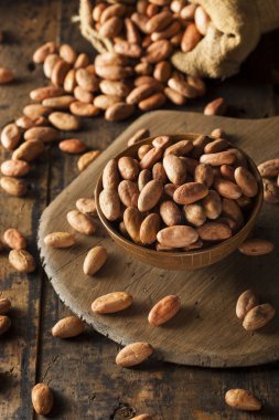 ham organik kakao çekirdekleri