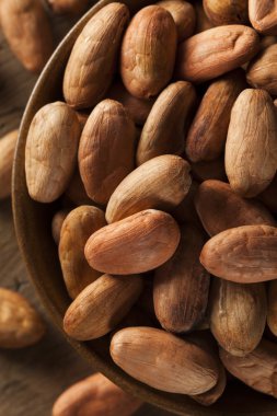 ham organik kakao çekirdekleri