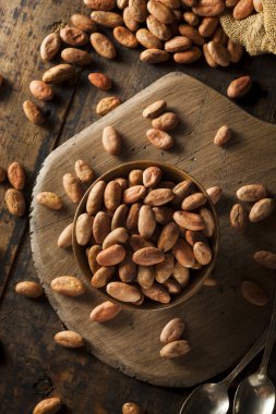 ham organik kakao çekirdekleri