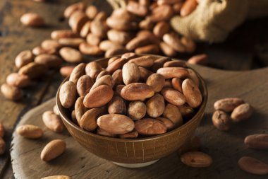 ham organik kakao çekirdekleri