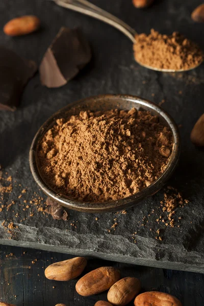 Polvo de cacao orgánico crudo — Foto de Stock