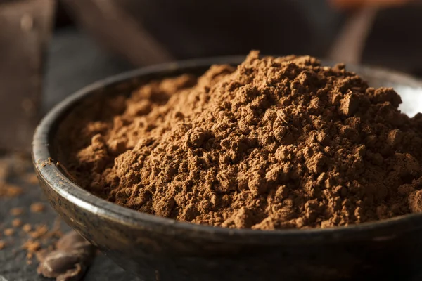 Polvo de cacao orgánico crudo — Foto de Stock