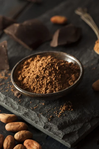 Polvo de cacao orgánico crudo — Foto de Stock