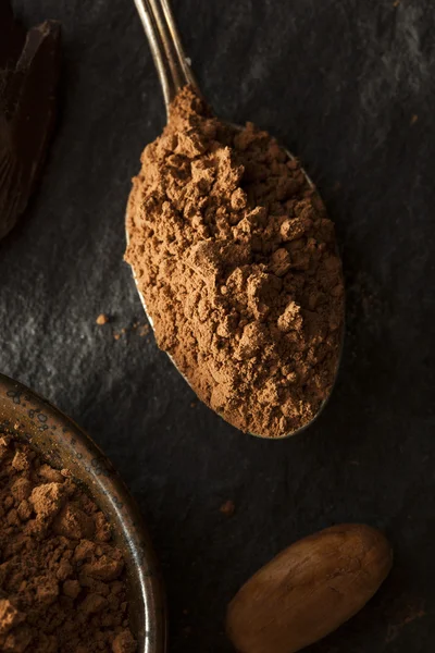 Polvo de cacao orgánico crudo —  Fotos de Stock