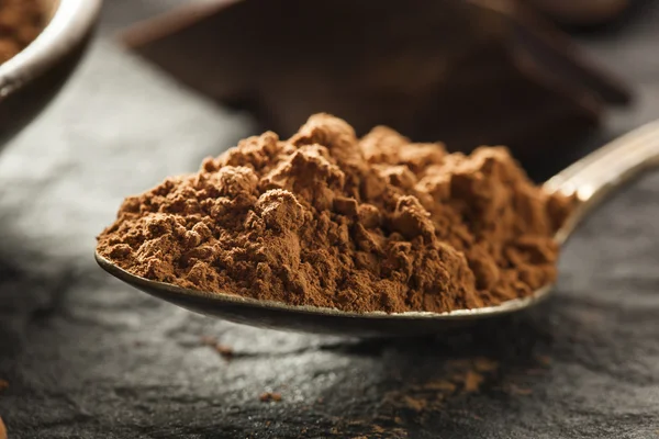 Polvo de cacao orgánico crudo — Foto de Stock