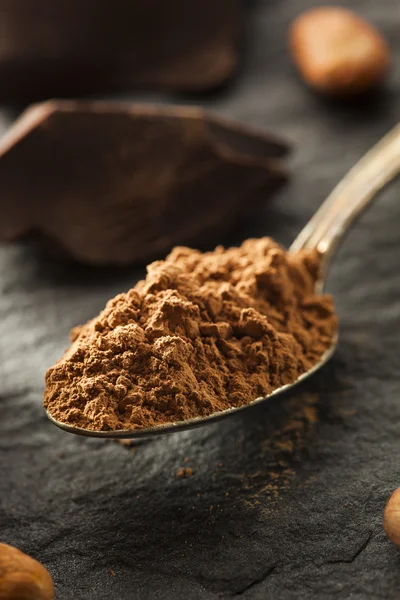 Polvo de cacao orgánico crudo —  Fotos de Stock
