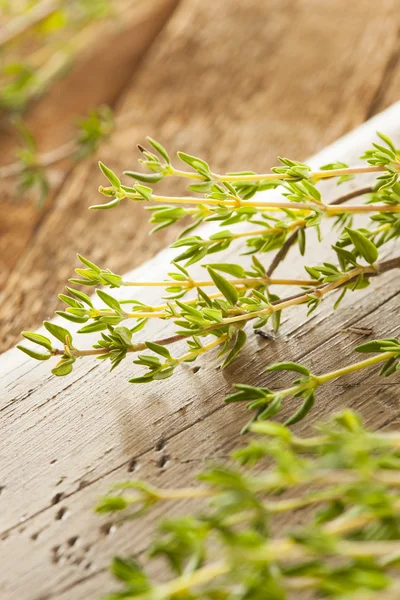 Rauwe biologische groene tijm — Stockfoto