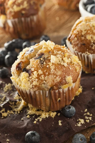 Zelfgemaakte bosbessen muffins voor het ontbijt — Stockfoto