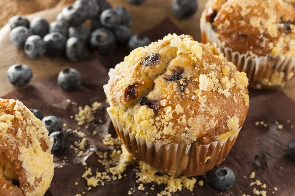 Muffins caseiros de mirtilo para o café da manhã — Fotografia de Stock