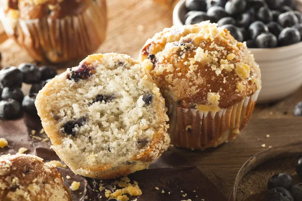 Muffin ai mirtilli fatti in casa per la prima colazione — Foto Stock