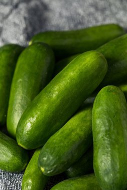 Çiğ yeşil organik mini salatalıklar yemeye hazır.