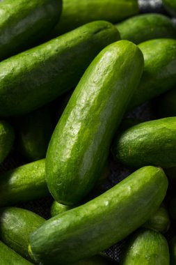 Çiğ yeşil organik mini salatalıklar yemeye hazır.