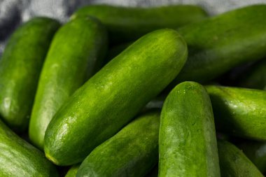 Çiğ yeşil organik mini salatalıklar yemeye hazır.