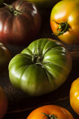 renkli organik domates