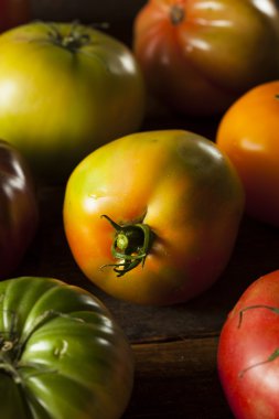 renkli organik domates