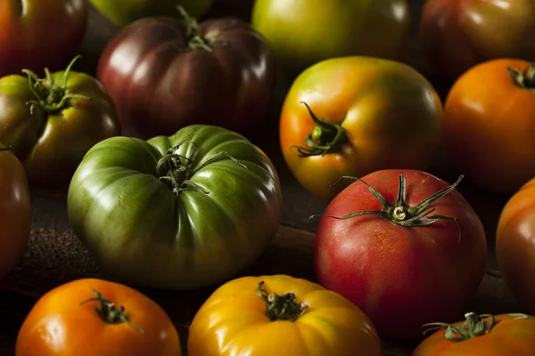 Colorful Organic Heirloom Tomatoes — Stock Photo, Image