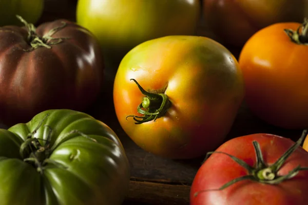 Colorful Organic Heirloom Tomatoes — Stock Photo, Image