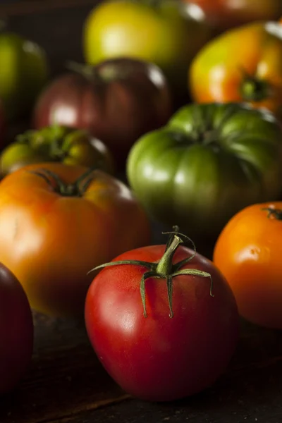 Colorful Organic Heirloom Tomatoes — Stock Photo, Image