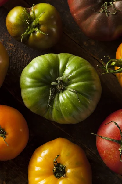 renkli organik domates