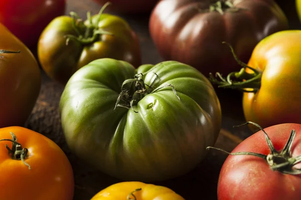 renkli organik domates