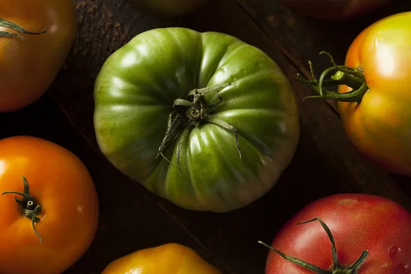 renkli organik domates