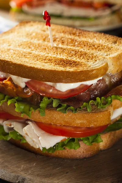 Turkey and Bacon Club Sandwich — Stock Photo, Image