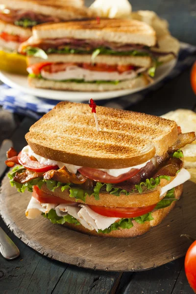 Turkey and Bacon Club Sandwich — Stock Photo, Image
