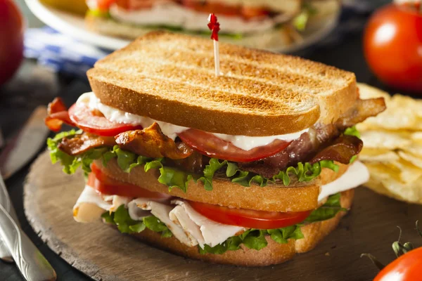 Turkey and Bacon Club Sandwich — Stock Photo, Image