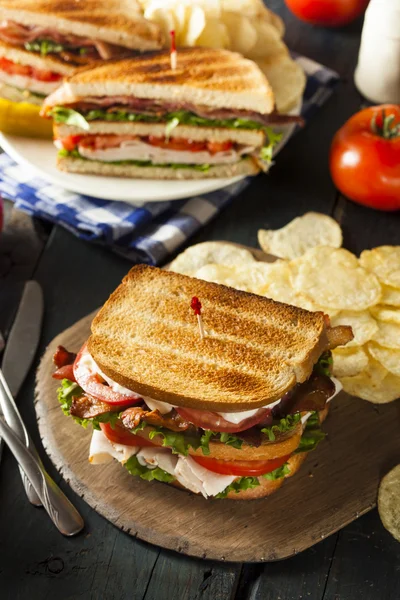 Turkey and Bacon Club Sandwich — Stock Photo, Image