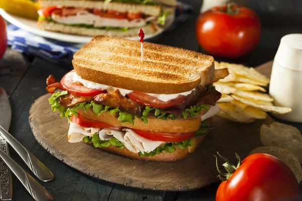 Turkey and Bacon Club Sandwich — Stock Photo, Image