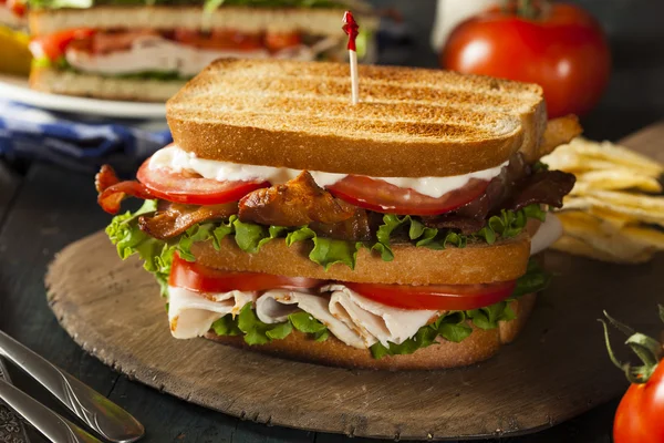 Turkey and Bacon Club Sandwich — Stock Photo, Image