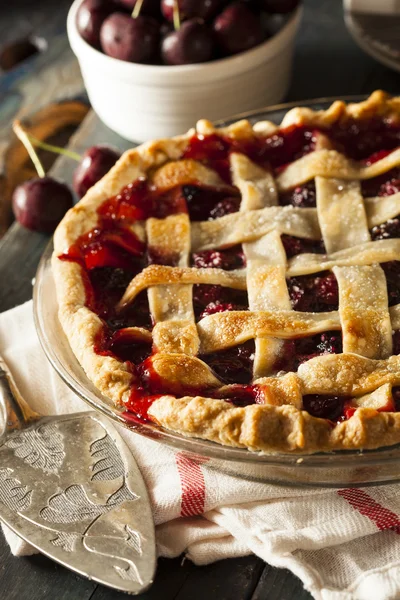 Delicioso pastel de cereza casero — Foto de Stock