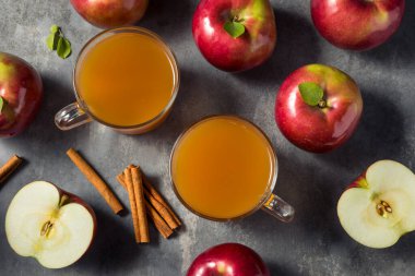 Sağlıklı Organik Elma Şarabı.