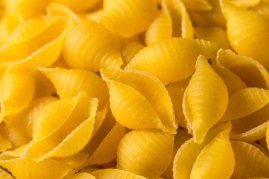 Çiğ Organik Makarna Kabukları Pişirmeye Hazır