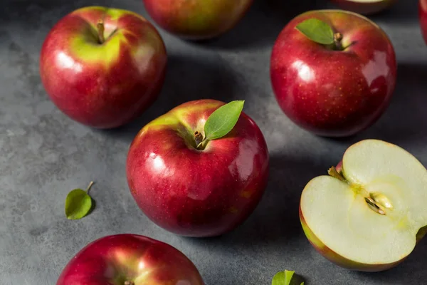 Manzanas Mcintosh Orgánicas Saludables Listo Para Comer — Foto de Stock