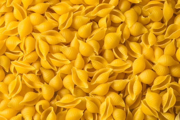 Involucri Pasta Media Biologica Cruda Pronti Cuocere — Foto Stock