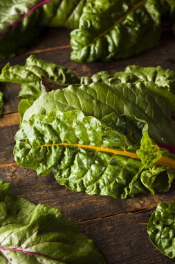 ham organik gökkuşağı swiss chard