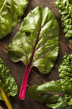 ham organik gökkuşağı swiss chard