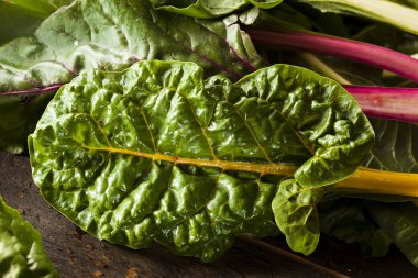 ham organik gökkuşağı swiss chard