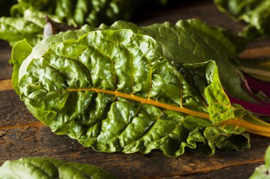 ham organik gökkuşağı swiss chard
