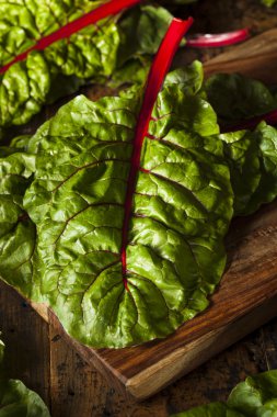 ham organik kırmızı swiss chard