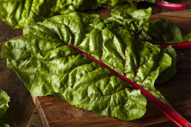 ham organik kırmızı swiss chard