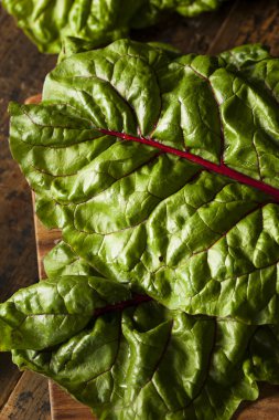 ham organik kırmızı swiss chard