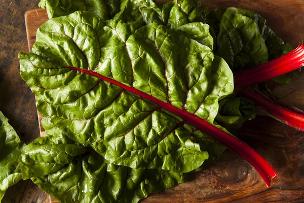 Raw Organic Red Swiss Chard — Stock Photo, Image